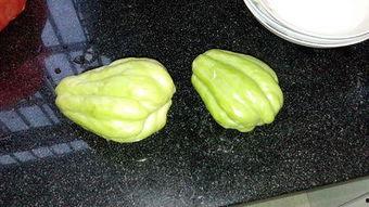 兔儿瓜可以隔夜吃吗,安全与营养的双重考量