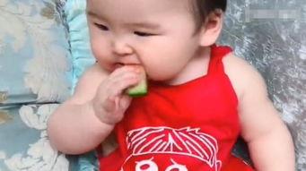 吃瓜爸爸辅导儿子,寓教于乐，共度亲子时光