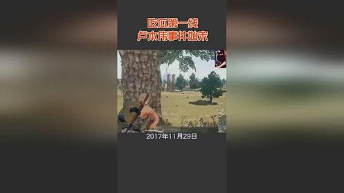 宁晋吃瓜事件始末,一场网络舆论的风暴与反思