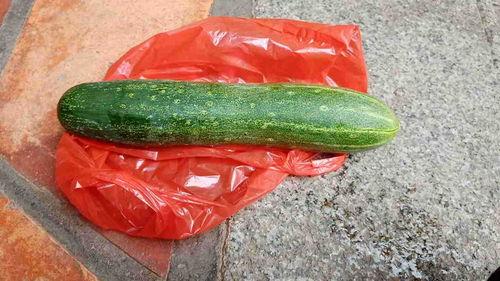 什么瓜可以生烫吃,揭秘生烫瓜果的神奇魅力