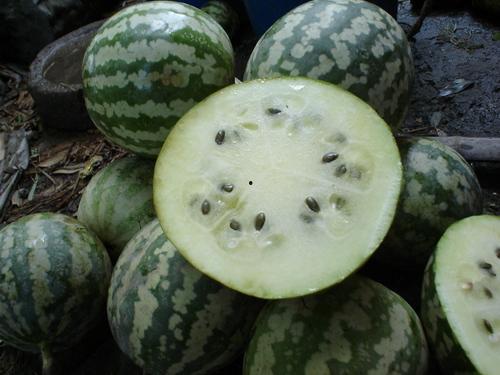 黄河甜蜜瓜怎么吃,多味食法，尽享夏日清新