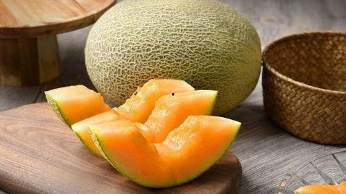 贝可可吃哈密瓜,甜蜜时光的美好回忆