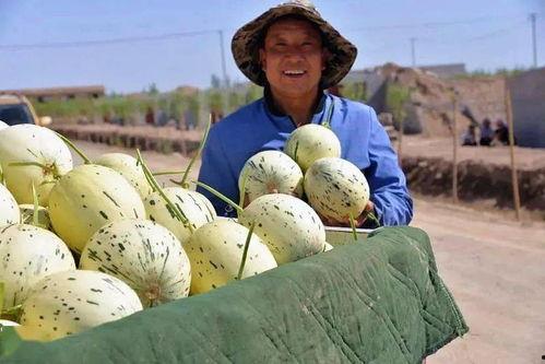 穿越只想当吃瓜群众,只想做个悠闲的吃瓜群众