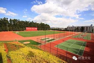 农大操场吃瓜,瓜香四溢，欢乐共享的夏日时光