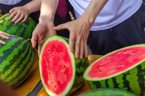 吃瓜免费中心,畅享娱乐新体验