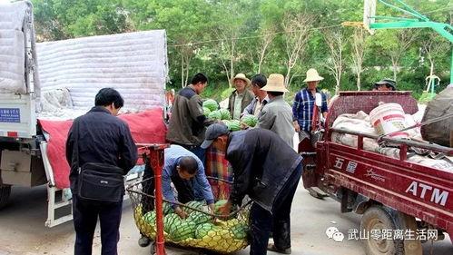 陈道长吃瓜群众,吃瓜群众的智慧与幽默