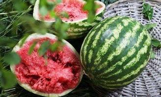 靠谱吃瓜,揭秘娱乐圈那些不为人知的幕后故事