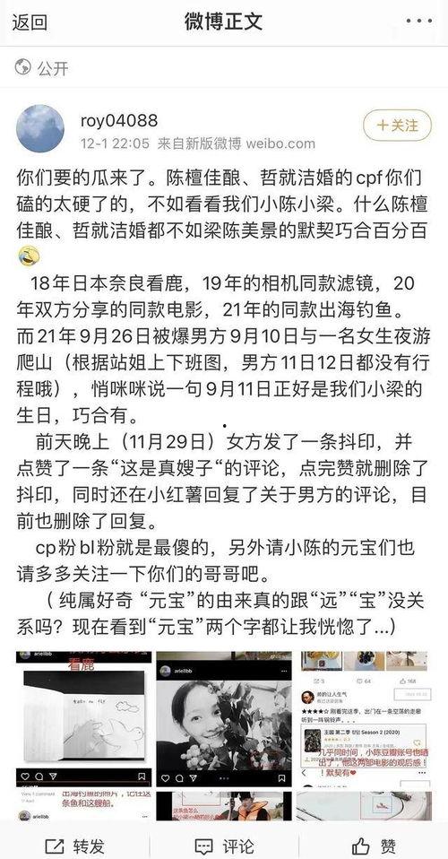 陈哲远说吃瓜,揭秘娱乐圈背后的故事与真相