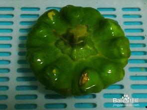 姜饼瓜可以怎么吃,创意食用指南