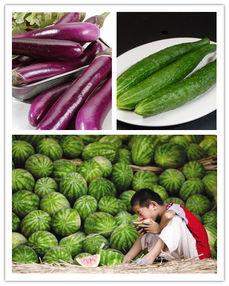 立秋当天吃瓜,秋意渐浓，丰收滋味提前尝