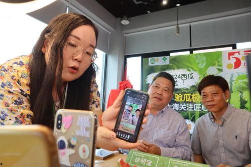 吃瓜直播小6,揭秘网红背后的真实生活