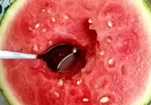 没有勺怎么吃哈密瓜