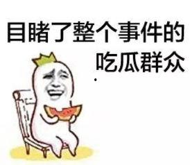 吃瓜群众四旬,揭秘娱乐圈背后的故事
