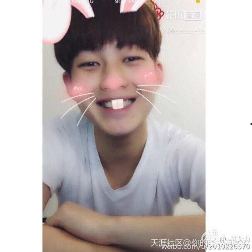 呆瓜吃瓜瓜,呆瓜与瓜瓜的欢乐食趣之旅