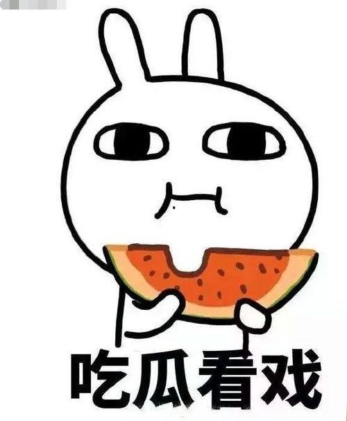 凌凌吃瓜日记,揭秘娱乐圈幕后故事