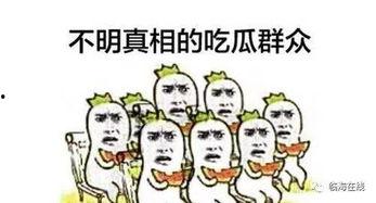什么是吃瓜行动,网络舆论场中的围观与反思