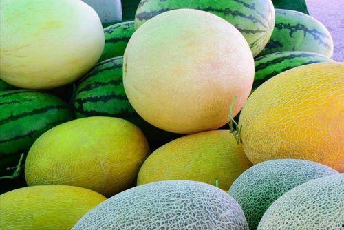 哪个城市有瓜吃,探寻“有瓜吃”的城市之旅