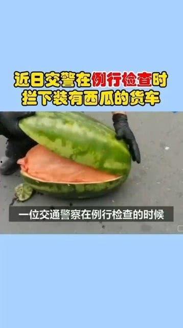 蛤蟆吃瓜反思,一场关于人性与欲望的反思之旅