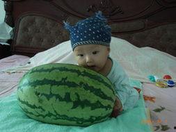 好奇的吃瓜宝宝