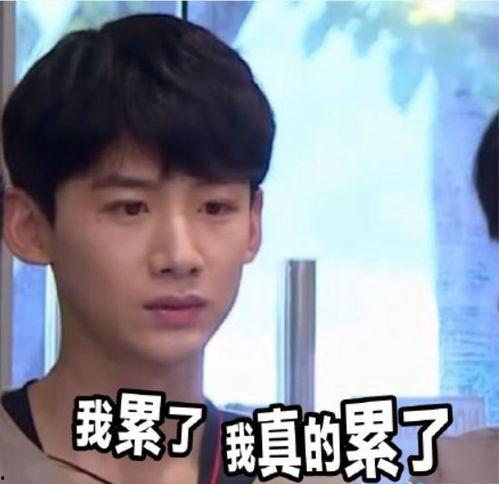 吃瓜吃到心累视频,从娱乐狂欢到身心俱疲