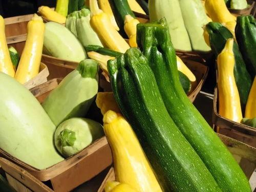 夏天吃两瓜,西瓜与黄瓜，清凉一夏尽享美味