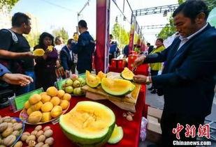 近期吃瓜事件离石,近期吃瓜事件大揭秘