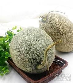 吃脆哈密瓜,哈密瓜的甜蜜诱惑