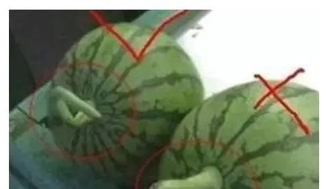 给别人吃瓜的危害,揭秘分享他人隐私的危害