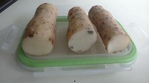 每天吃贝贝瓜山药,养生生活新选择