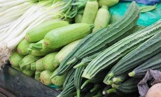 广州安琪儿吃瓜