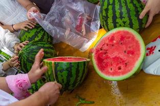 交院吃瓜视频,吃瓜视频背后的校园风云