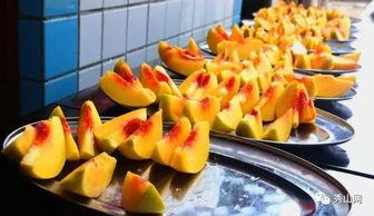 吃瓜比赛最快吃瓜的第一