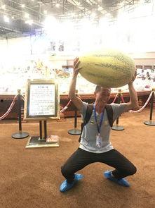 吃瓜观众的后果