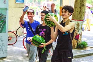 各学校的吃瓜网坛,揭秘各校吃瓜网坛背后的精彩故事