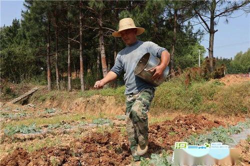 汨罗哪里吃瓜好吃,探寻当地美食瓜果的绝妙风味