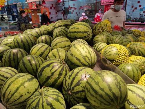 福吃瓜,揭秘娱乐圈背后的那些事儿