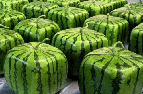 全网吃瓜倒数,揭秘热门事件幕后真相