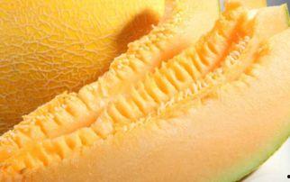 地里吃哈密瓜,探寻新疆特色水果的魅力